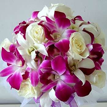 Roses and Dendrobium Orchid